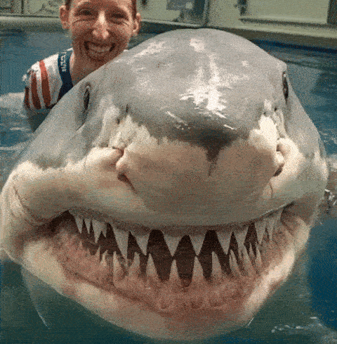 A Woman Is Standing Next To A Shark That Is Looking At The Camera GIF
