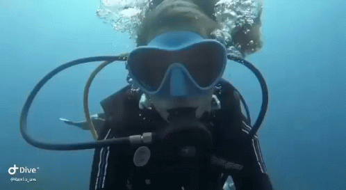 A Woman Is Swimming In The Ocean Wearing A Scuba Mask . GIF