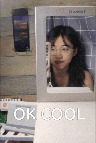 A Woman Is Taking A Picture Of Herself In A Mirror And The Words Ok Cool Are Below Her GIF