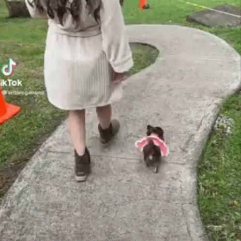 A Woman Is Walking A Small Black Dog On A Leash Down A Sidewalk . GIF