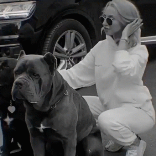 A Woman Kneeling Down Next To Two Dogs One Of Which Has A Tag On It GIF