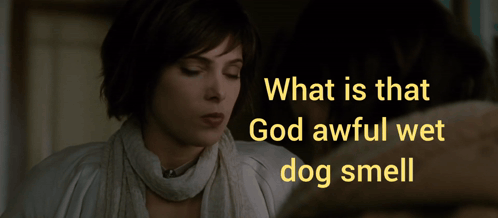 A Woman Looking At Herself In A Mirror With The Words What Is That God Awful Wet Dog Smell GIF