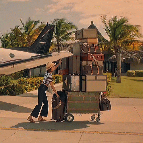 A Woman Pushes A Cart Full Of Luggage Towards A Plane With The Letters Lg On It GIF