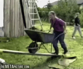 A Woman Pushing A Wheelbarrow With The Metapicture.com Website Visible GIF