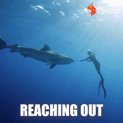 A Woman Reaching Out To A Shark In The Ocean With The Words Reaching Out Below Her GIF