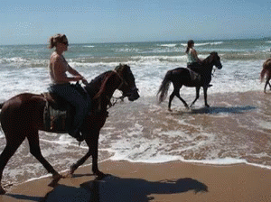 A Woman Riding A Horse On The Beach GIF