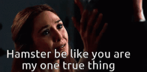 A Woman Says Hamster Be Like You Are My One True Thing In A Dark Room GIF