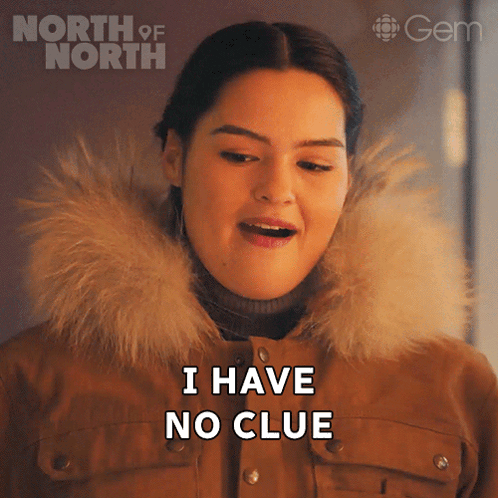 A Woman Says I Have No Clue In Front Of A North Of North Logo GIF