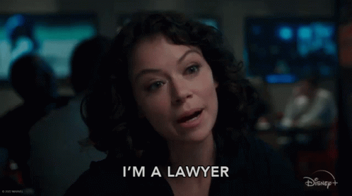 Woman Saying I'm A Lawyer In Front Of Disney GIF