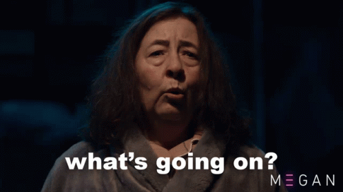 A Woman Says What 'S Going On Megan GIF