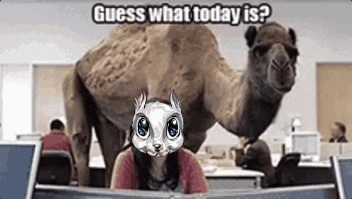 A Woman Sitting In Front Of A Computer With A Camel Behind Her And The Words " Guess What Today Is " On The Bottom GIF