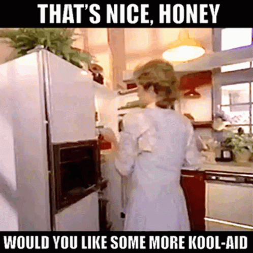 A Woman Standing In A Kitchen With The Words That 'S Nice Honey Would You Like Some More Kool-Aid Below Her GIF