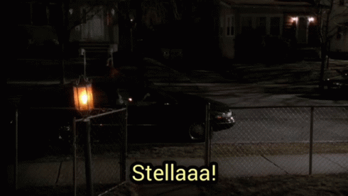 A Woman Standing In Front Of A Fence With The Words Stellaaa Written On It GIF