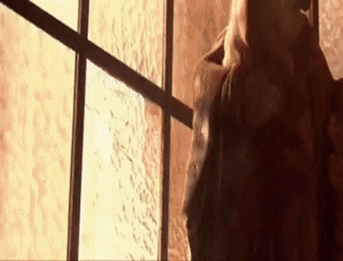A Woman Standing In Front Of A Window Looking Out At The Sun GIF