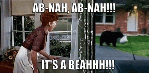 A Woman Standing In Front Of A Window With The Words Ab-Nah Ab-Nah It 'S A Beahhh !!! GIF