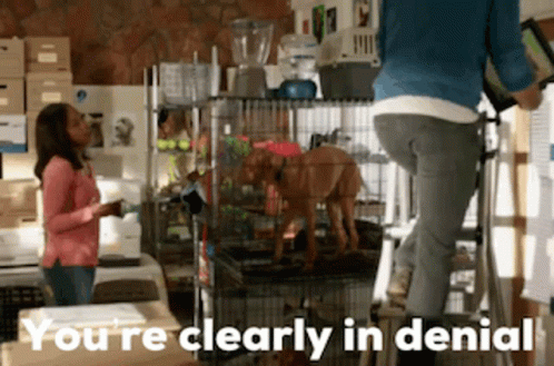 A Woman Standing On A Ladder Next To A Dog In A Cage With The Words You 'Re Clearly In Denial GIF