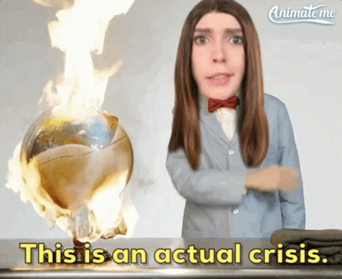 A Woman Stands In Front Of A Burning Globe With The Words This Is An Actual Crisis Below Her GIF