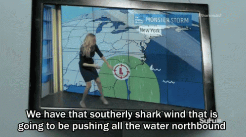 A Woman Stands In Front Of A Screen That Says Monster Storm On It GIF