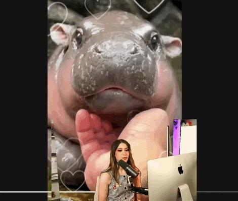 A Woman Stands In Front Of An Apple Computer With A Hippopotamus In The Background GIF
