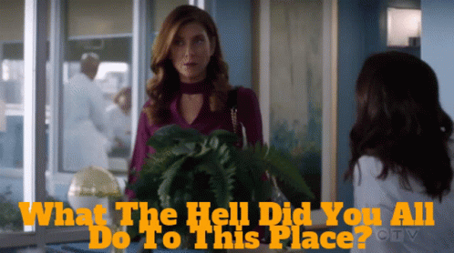 A Woman Talking To Another Woman With The Words What The Hell Did You All Do To This Place On The Bottom GIF