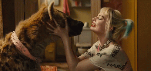 A Woman Wearing A Harley Quinn Shirt Is Kissing A Hyena GIF