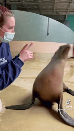 A Woman Wearing A Mask Is Standing Next To A Seal . GIF