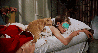 Woman Laying In Bed With Cat And Sleep Mask GIF