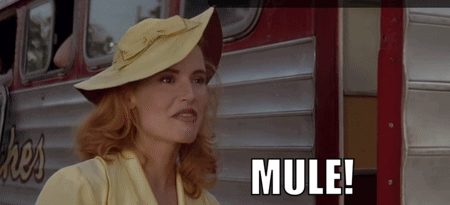 Woman In Yellow Hat In Front Of Bus GIF