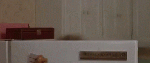 A Woman With A Face Mask On Her Face Is Standing In Front Of A Refrigerator . GIF