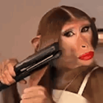A Woman With A Monkey Face Is Holding A Hair Straightener . GIF