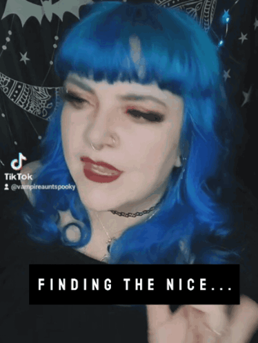 A Woman With Blue Hair Says " Finding The Nice " On The Bottom GIF