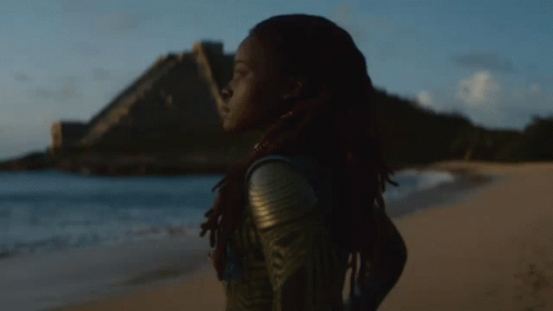 A Woman With Dreadlocks Is Standing On A Beach GIF