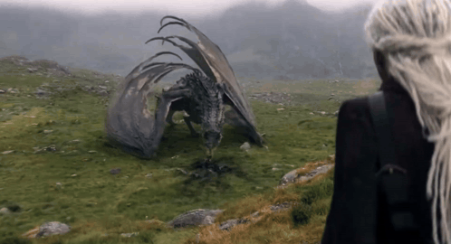 a woman with long white hair stands in front of a dragon
