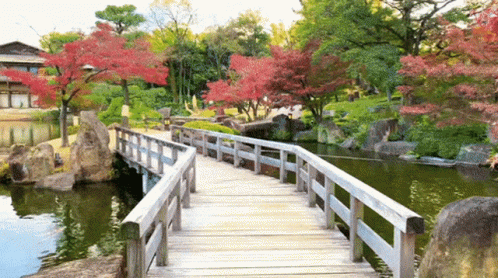 A Wooden Bridge Over A Body Of Water With Red Leaves On The Trees GIF