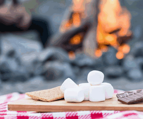 A Wooden Cutting Board With Marshmallows And Chocolate On It In Front Of A Fire GIF