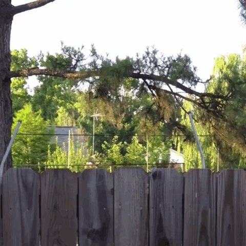 A Wooden Fence Is Surrounded By Trees And A House GIF