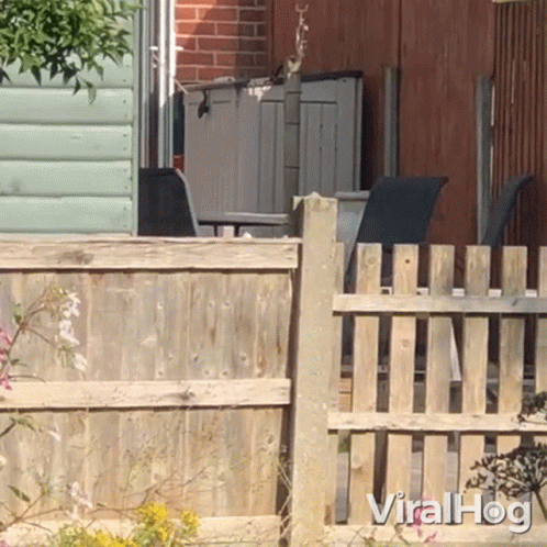 A Wooden Fence With The Words Viralhog Written On It GIF