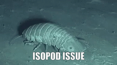 A Worm Is Crawling On The Ground With The Words Isopod Issue Below It . GIF