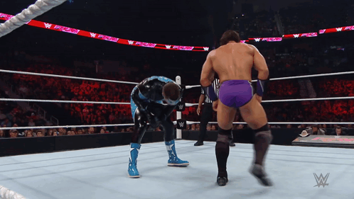 A Wrestler In Purple Shorts Stands In A Wrestling Ring With A Referee GIF
