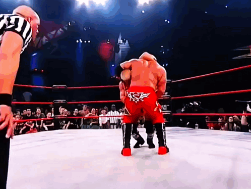 A Wrestler In Red Shorts With A Star On The Back Stands In The Middle Of A Wrestling Ring GIF