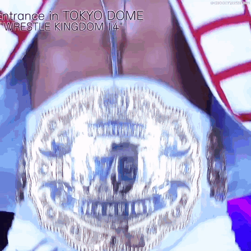 a wrestler is wearing a belt that says entrance in tokyo dome wrestle kingdom 14