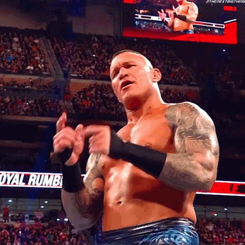 A Wrestler Stands In Front Of A Crowd And A Sign That Says Royal Rumba GIF