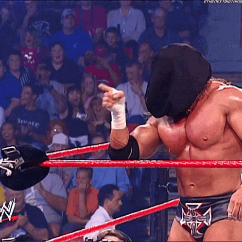 a wrestler wearing a mask and a belt that says the next thing on it