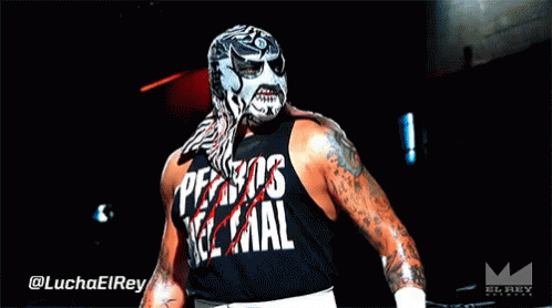 A Wrestler With A Mask And A Shirt That Says Ferros Real GIF