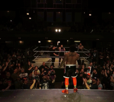 A Wrestler With A Red And White Triangle On His Shorts Raises His Fist In The Air GIF