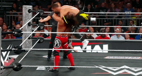 A Wrestler With The Letter P On His Shorts Is Wrestling Another Wrestler GIF