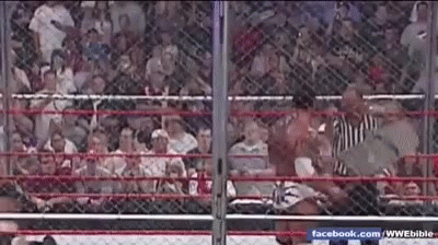 a wrestling match is being held in a cage with a crowd watching .