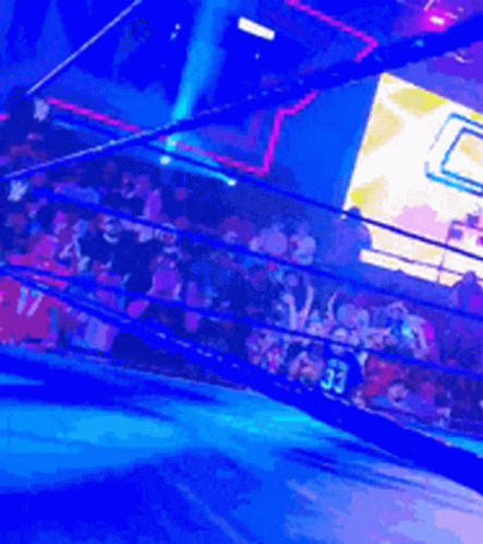 A Wrestling Ring With A Crowd And A Person Wearing A Number 33 Jersey GIF