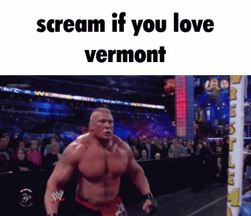 A Wrestling Ring With The Words " Scream If You Love Vermont " On The Bottom GIF