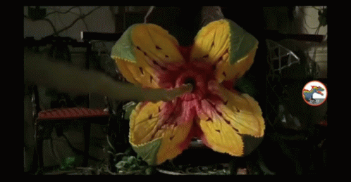 A Yellow And Red Flower With A Dragon On The Bottom GIF